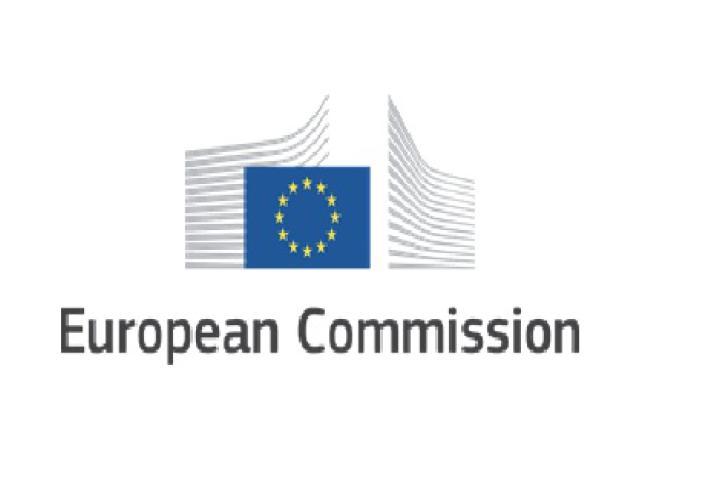 European commision